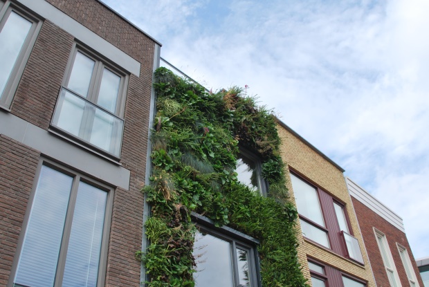 WEB_COVER_BTT01-067_MANPro_Isolerenderaamfolie-BouwTotaaled12021 | BouwTotaal greenwall