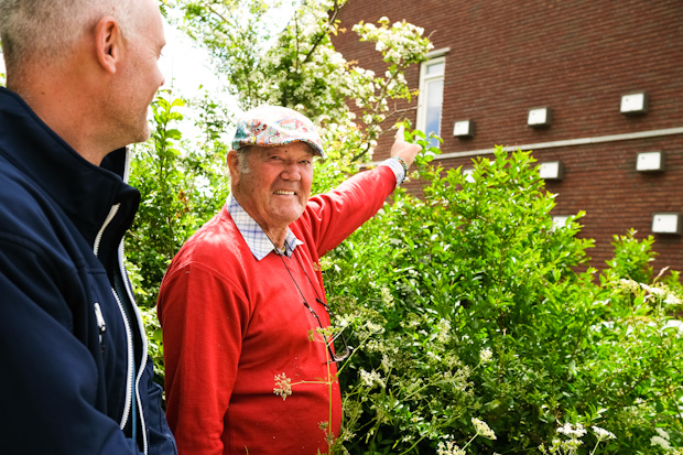 Veilig broedplaats voor vleermuizen