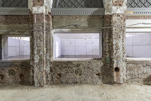 WebFoto 3-Foto ARTIS Christiaan de Bruijne - RenovatieTotaal De aquariumbakken in Artis