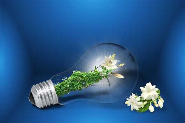 renovaties
